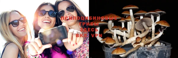 МДПВ Алексин