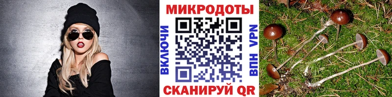 что такое   Каменск-Уральский  Псилоцибиновые грибы Magic Shrooms 